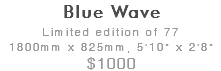 Blue Wave
Limited edition of 77
1800mm x 825mm, 5'10" x 2'8"
$1000